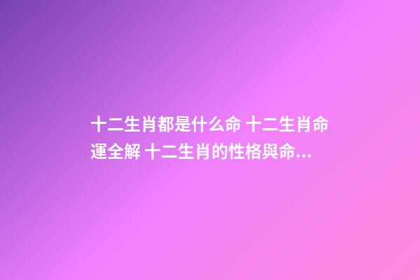 十二生肖都是什么命 十二生肖命運全解 十二生肖的性格與命運